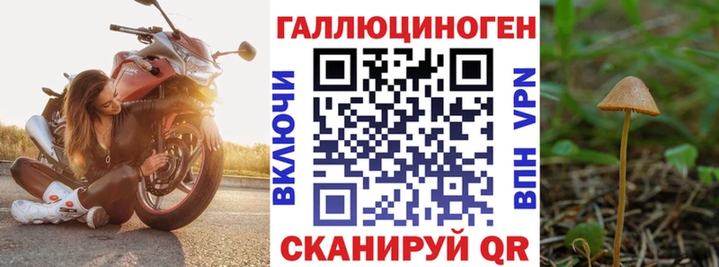Галлюциногенные грибы GOLDEN TEACHER  закладки  ОМГ ОМГ сайт  Уяр 